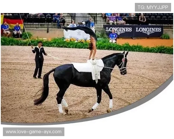 马术障碍赛马突然跳歪被骑手“托回正” 马术障碍赛马突然跳歪被骑手“托回正”