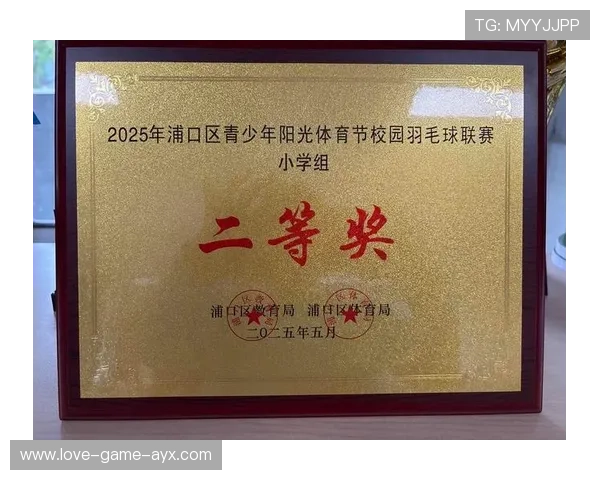 羽毛球运动商业化路径:俱乐部、联赛与市场联动 羽毛球运动商业化路径:俱乐部、联赛与市场联动