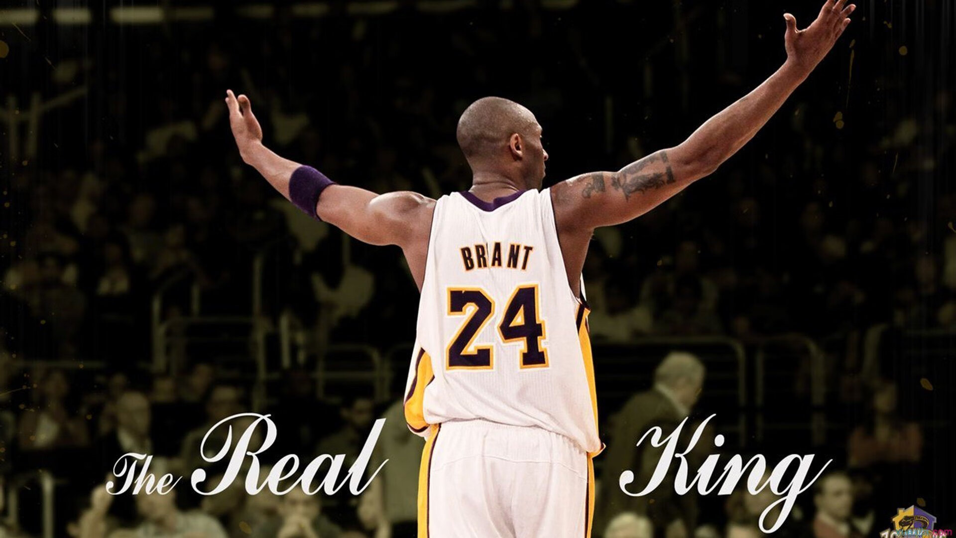 T1战队粉丝互动增强，t1战队怎么样